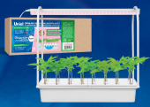 Набор для гидропоники "Минисад AQUA SIMPLE", светильник для растений светодиодный с подставкой.ULT-P44D-10W/SPLE IP20 AQUA SIMPLE WHITE