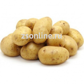 Картофель семенной Гала (1 репрод) 1кг