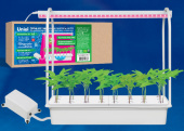 Набор для гидропоники "Минисад AQUA", светильник для растений светодиодный с подставкой и компрессором.ULT-P44A-10W/SPSB IP40 AQUA WHITE 