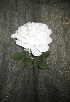 07046 Бархатная роза белая 58 см