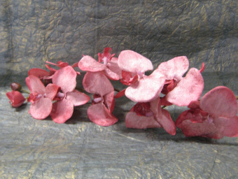07034 Орхидея бархатная 105 см розовая