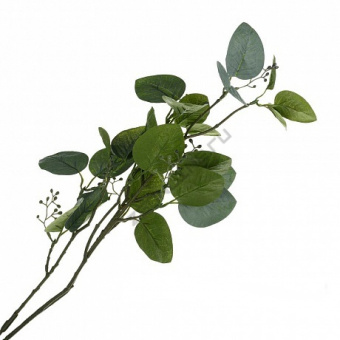 Ветка искусственная Эвкалипт, 68см цвет зеленая