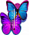 Термометр комнатный сувенирный Бабочка на липучке цвета микс 300059