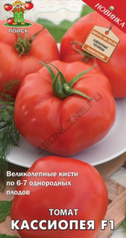 tomat_kassiopeya