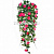Вьюн Ипомея, 90см, 309 листов, 24 цветка